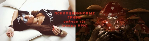мяу мяу мука Алексеевка