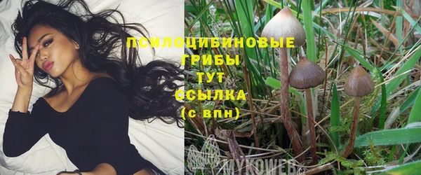 мяу мяу мука Алексеевка