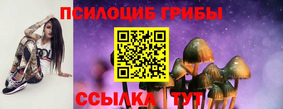 Галлюциногенные грибы прущие грибы  Вход с VPN  Калач-на-Дону 